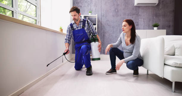 Best Real Estate Pest Inspections  in Graton, CA